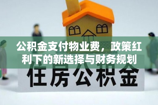 兴隆公积金支付物业费，政策红利下的新选择与财务规划