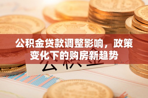 兴隆公积金贷款调整影响，政策变化下的购房新趋势